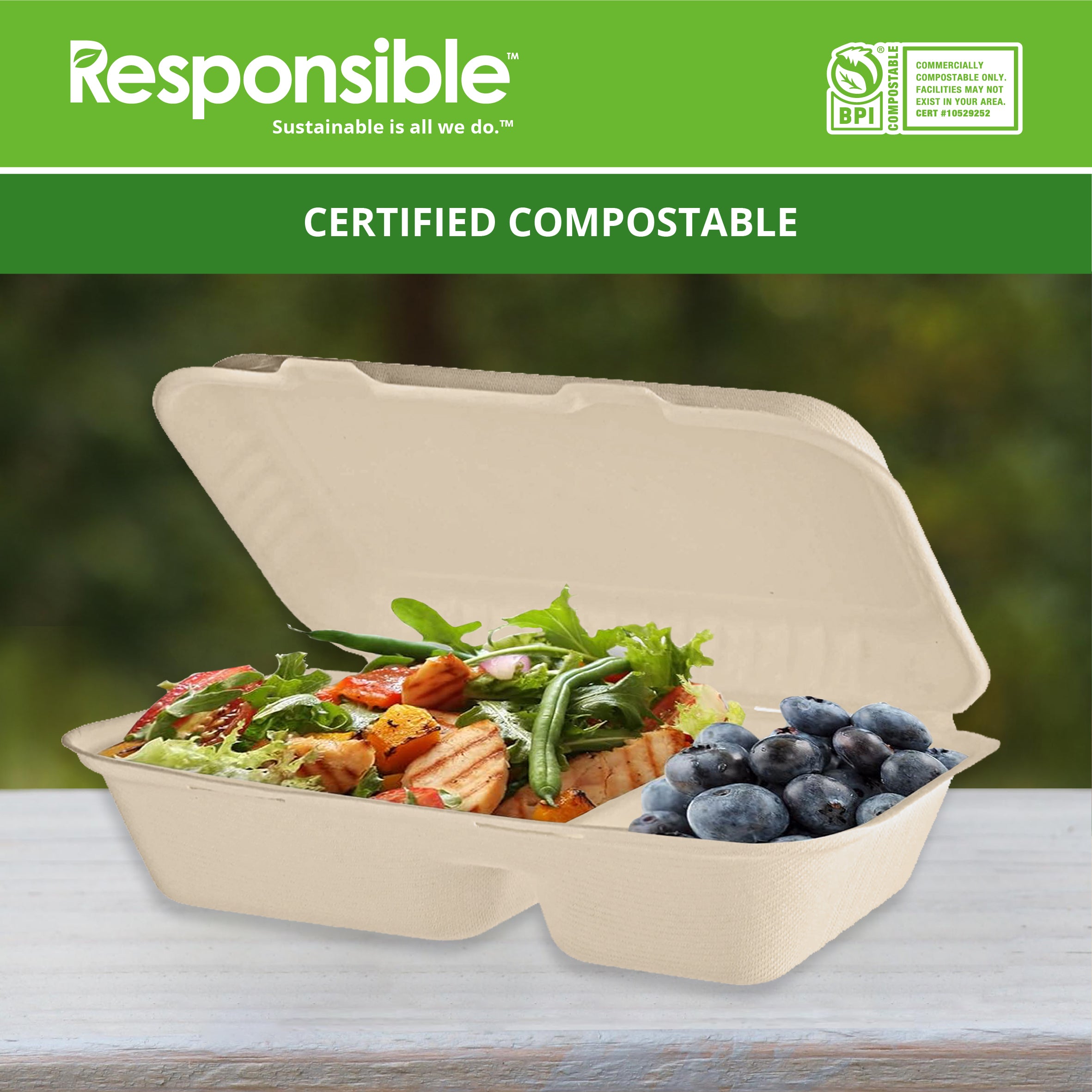 9 x 6 inch 2-Compartment Hinged Containers | Tree-Less™ Compostable Molded Fiber