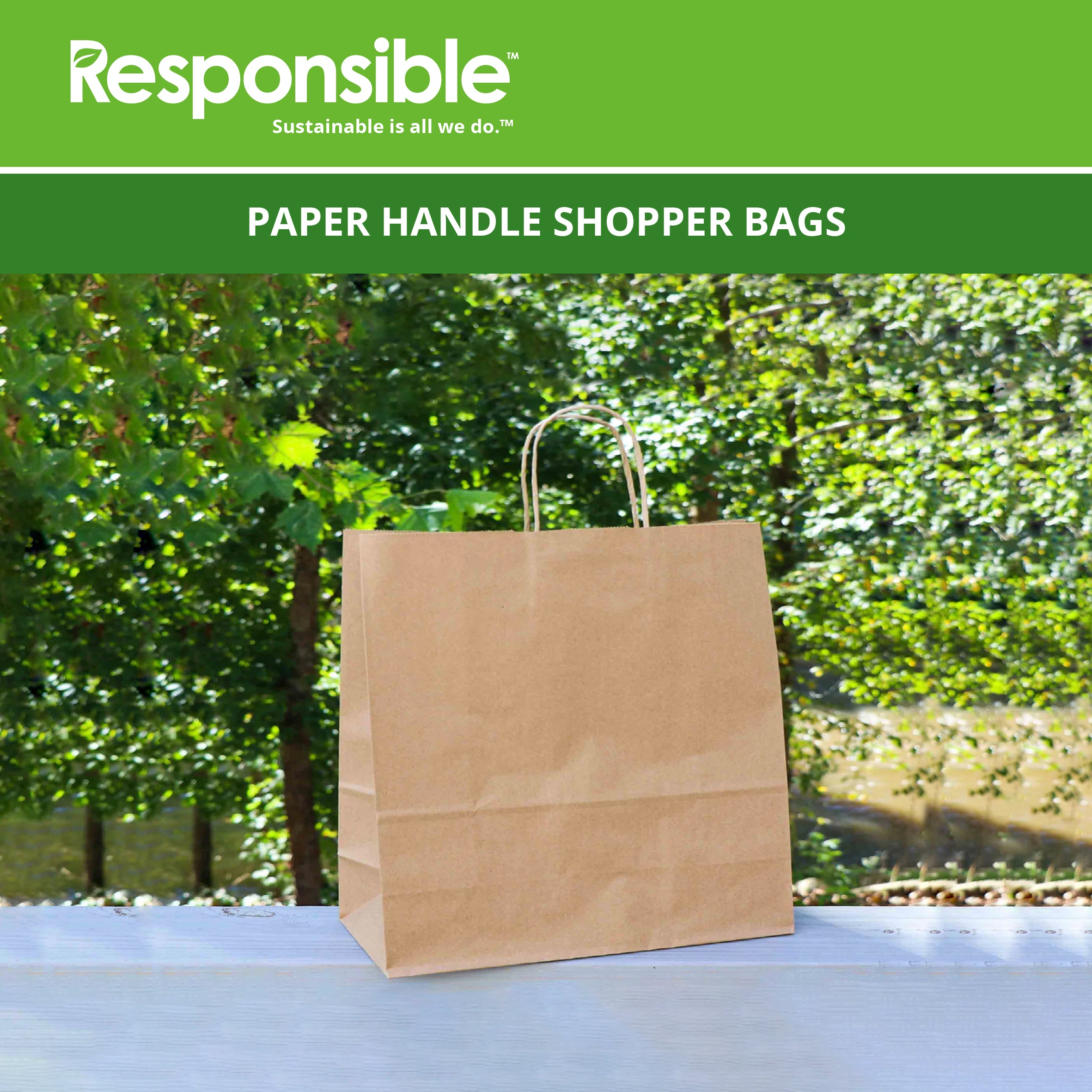 13 x 13 x 7 Paper Handle Shopping Bag