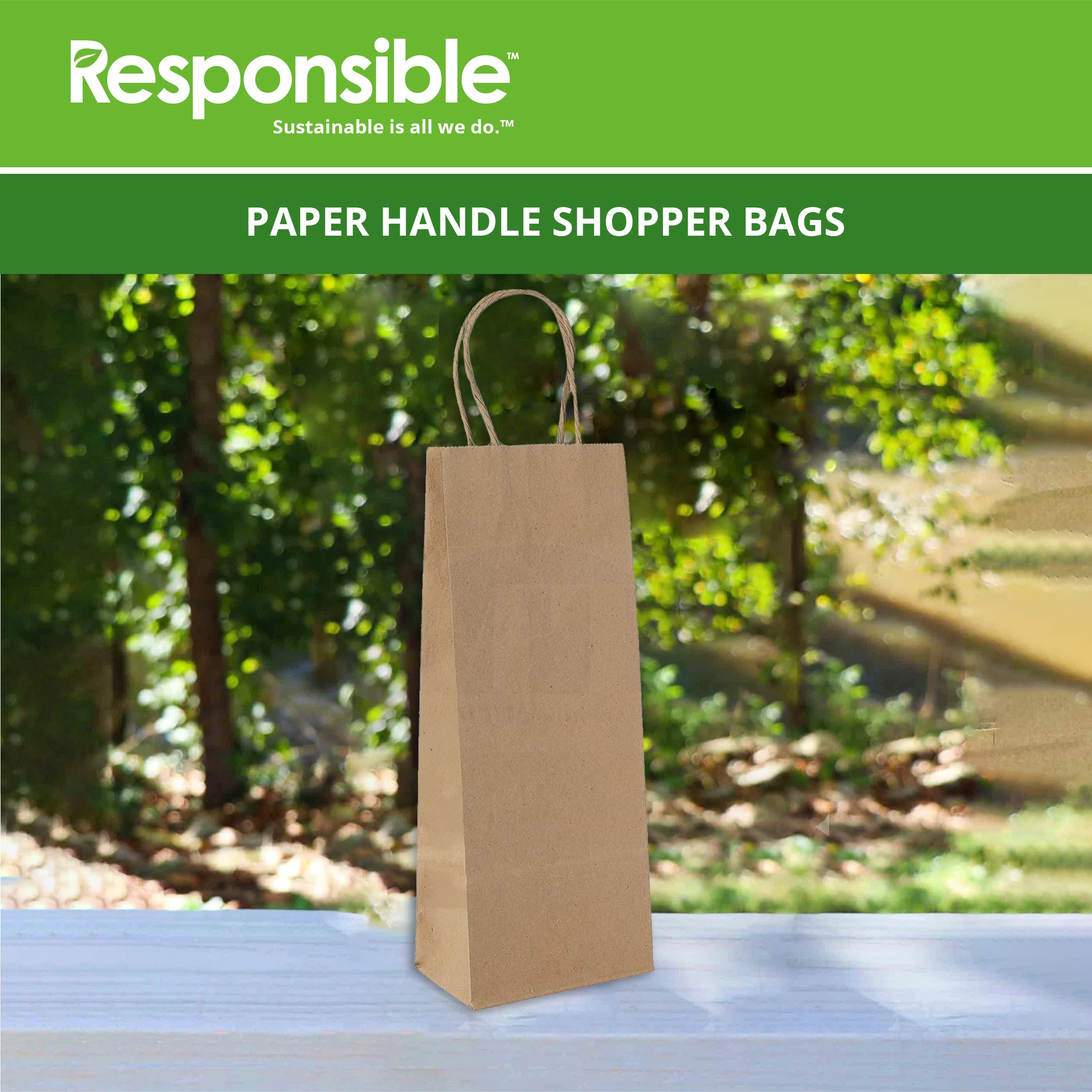 5.3 x 13 x 3.3 Paper Handle Shopping Bag