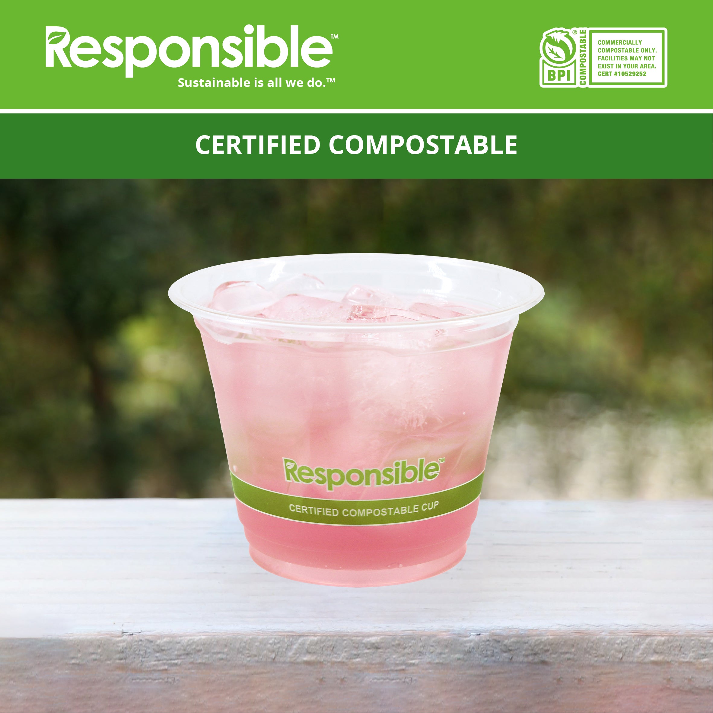 Compostable 9 oz Clear Cold Cup