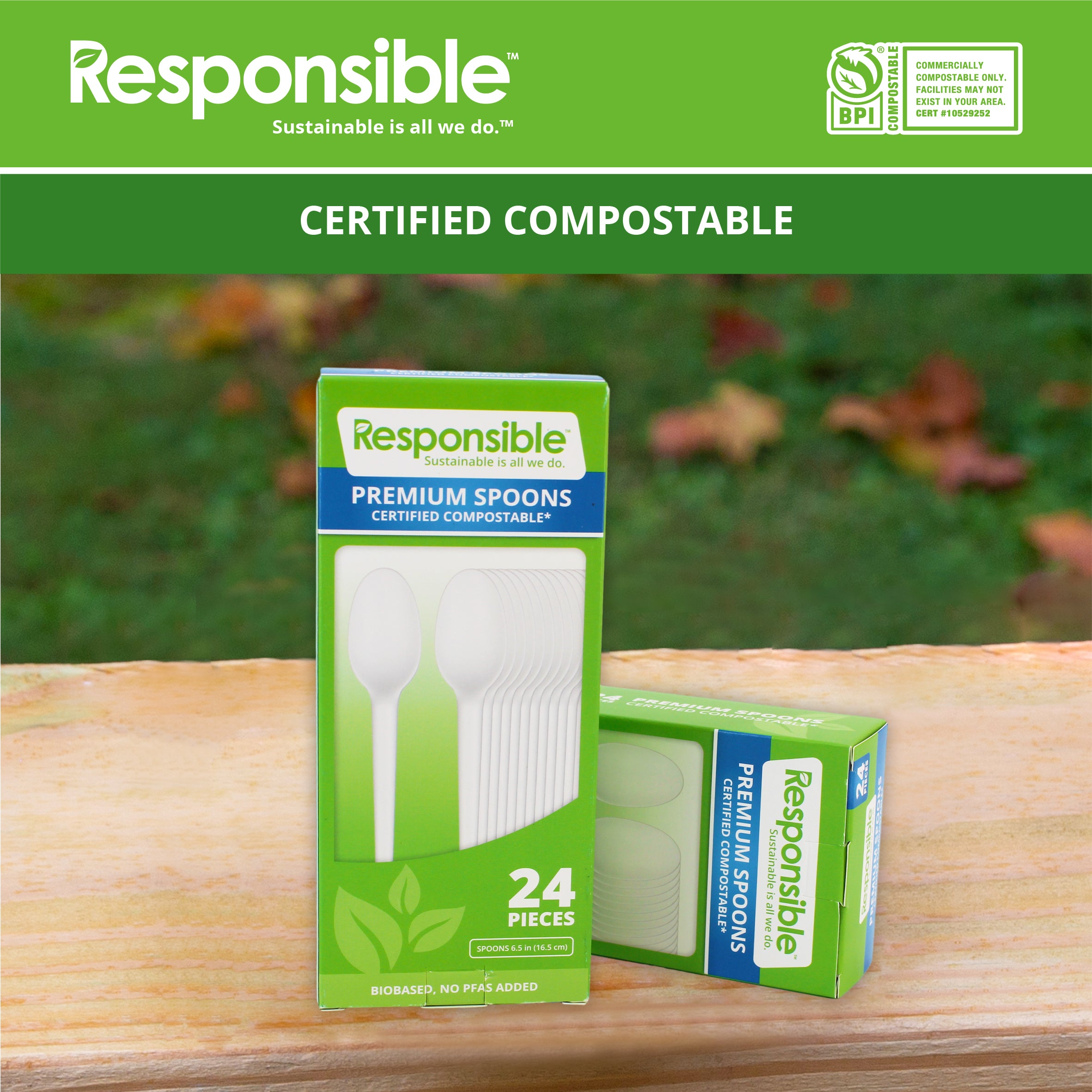 Compostable 6.5 Inch Spoons Value Pack