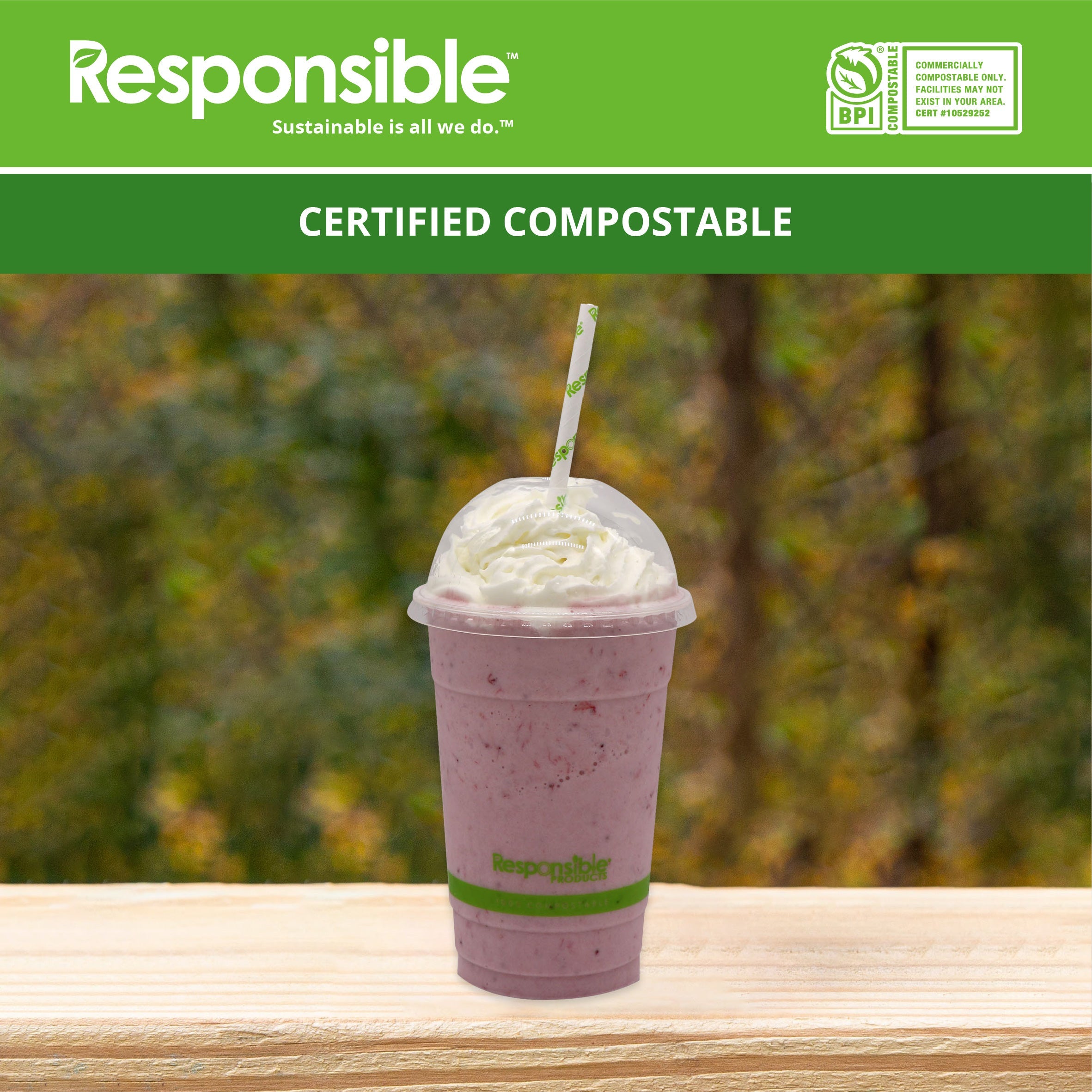 Compostable 10 Inch Paper Straws