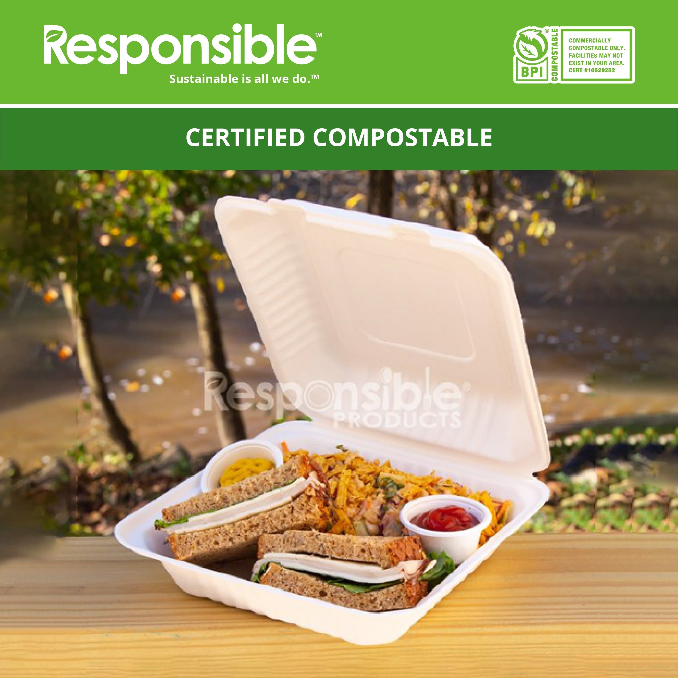 9 inch Molded Fiber Hinged Containers | Tree-Less™ Compostable Molded Fiber