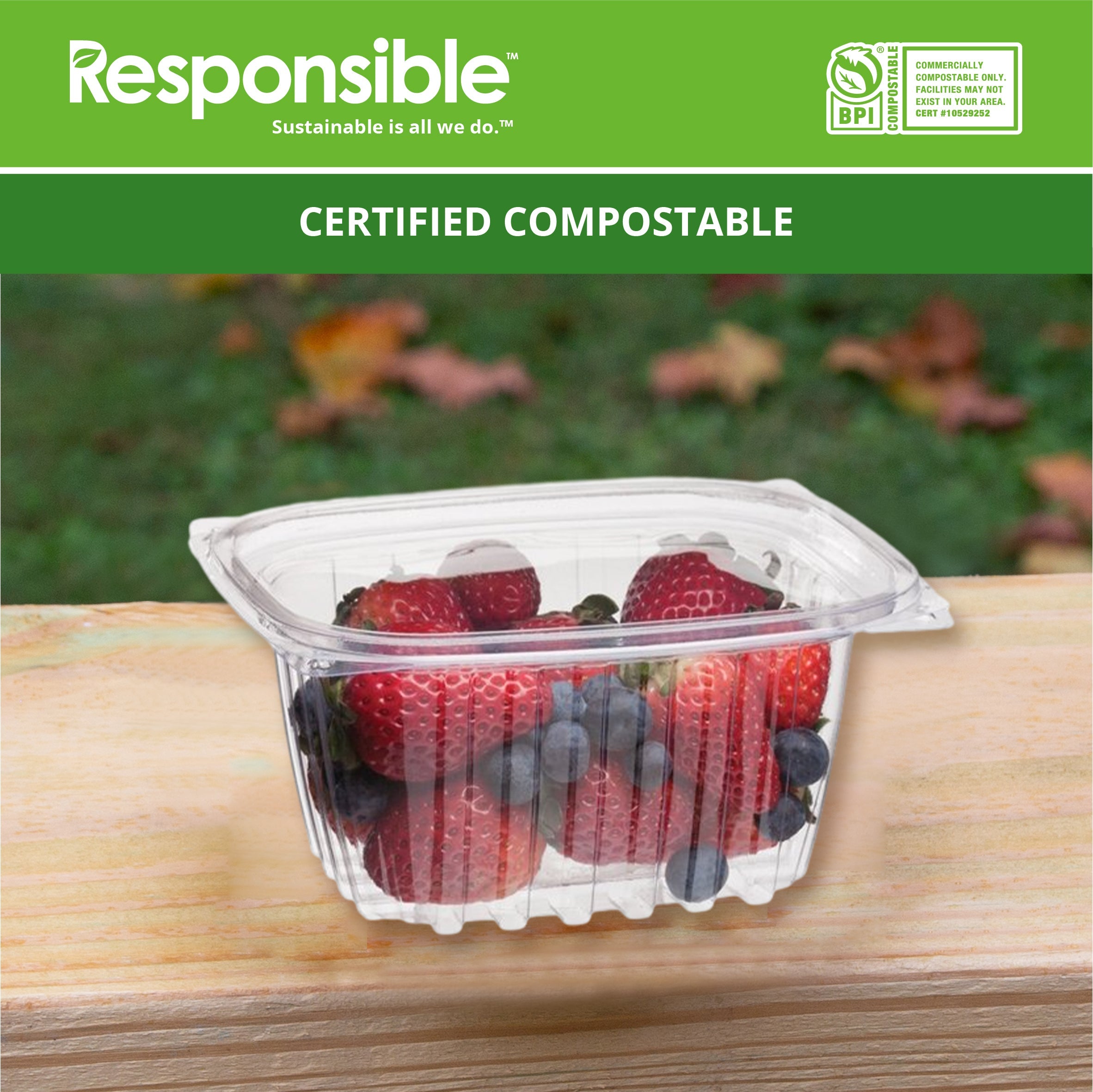 Compostable 16 oz Clear Hinged Deli Containers