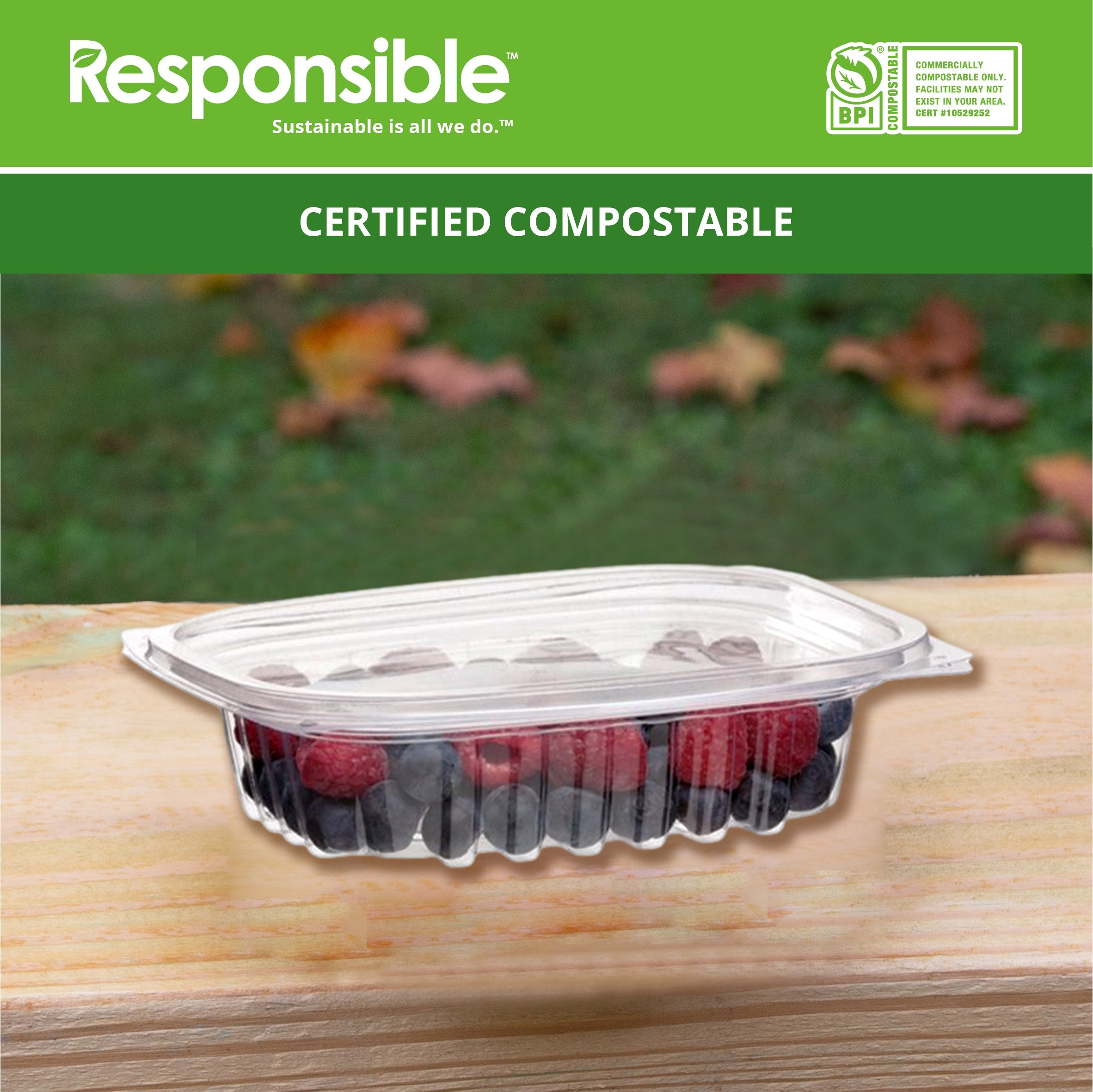 Compostable 8 oz Clear Hinged Deli Containers