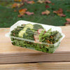 9" x 5" inch Clear Hinged Container, Certified Compostable and Made from 100% American Biobased Materials, No-PFAS Added & BPA-Free