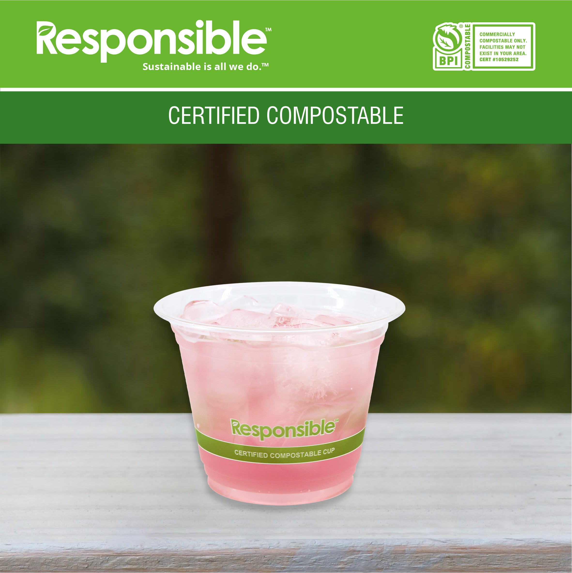 Compostable 9 oz Clear Cold Cup 30CT