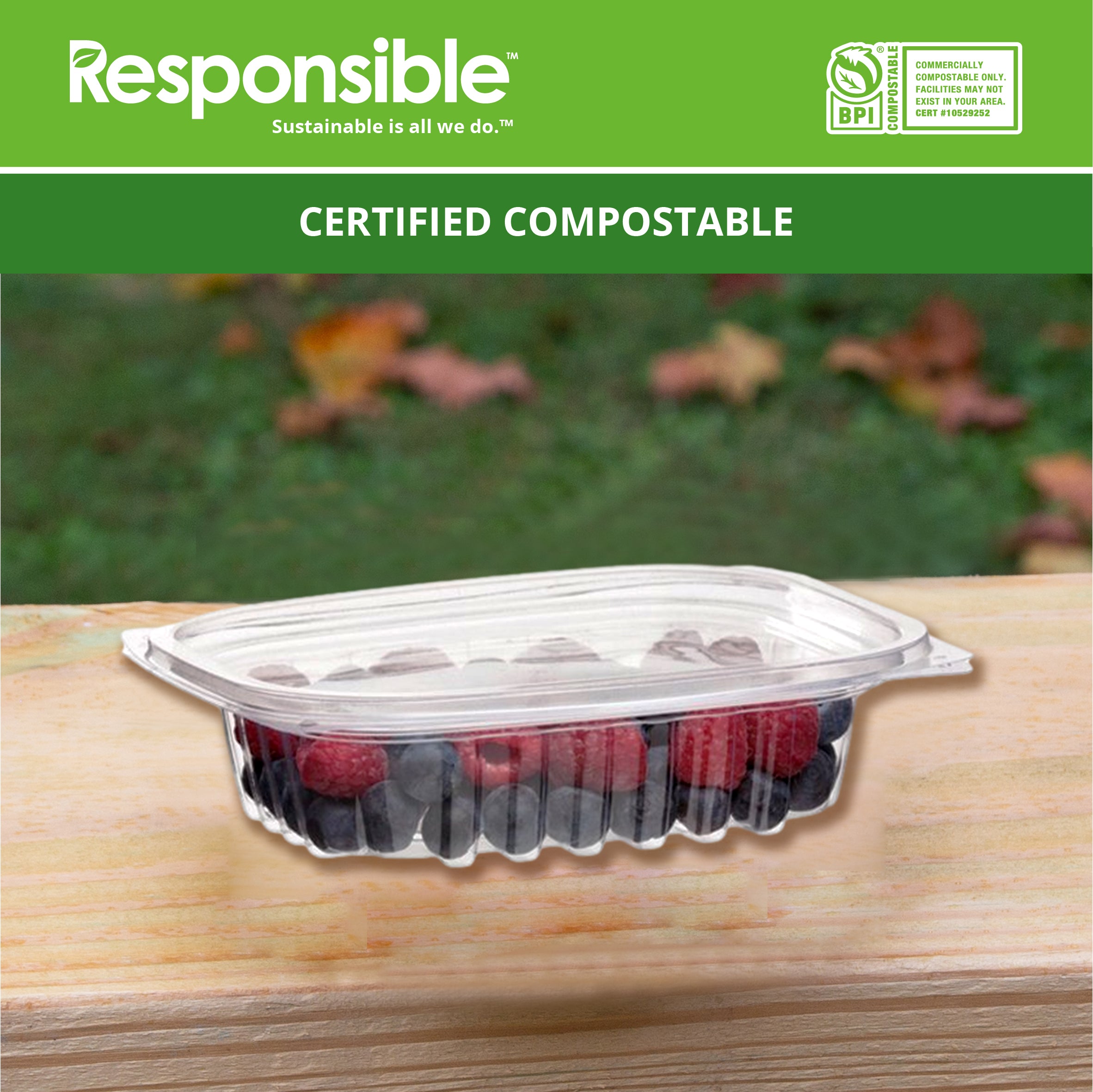 Compostable 8 oz Clear Hinged Deli Containers