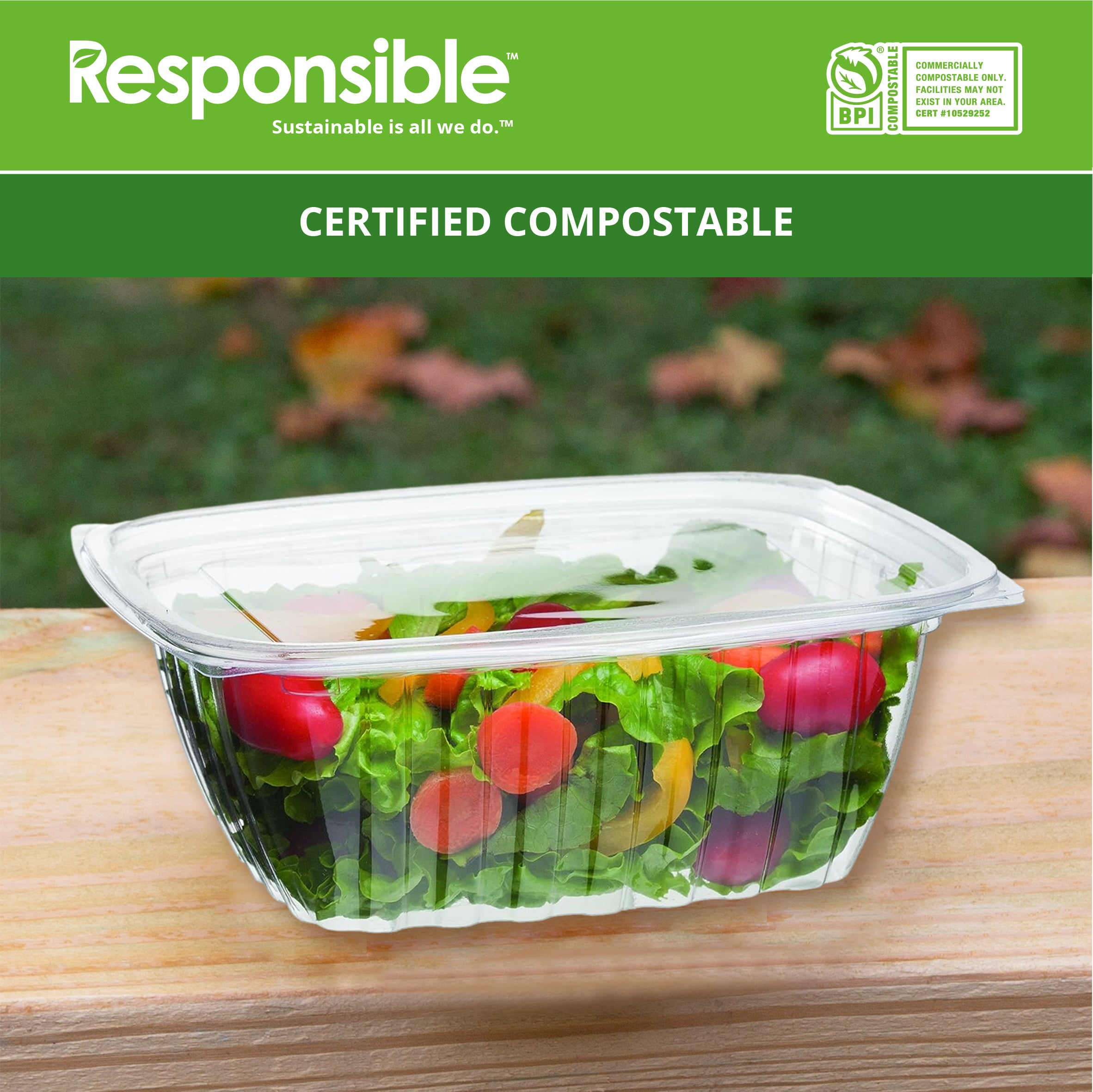 Compostable 32 oz Clear Hinged Deli Containers