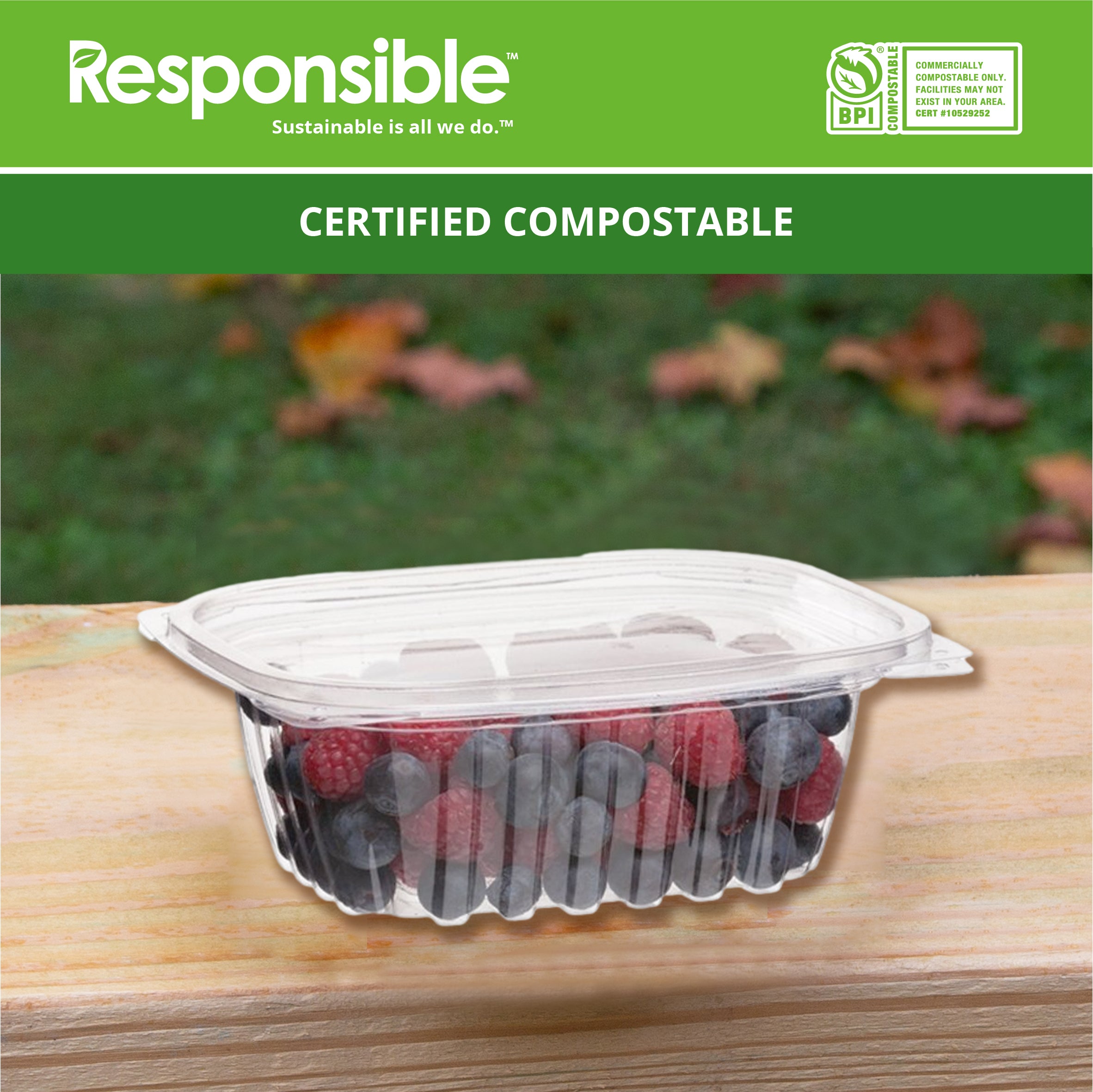 Compostable 12 oz Clear Hinged Deli Containers