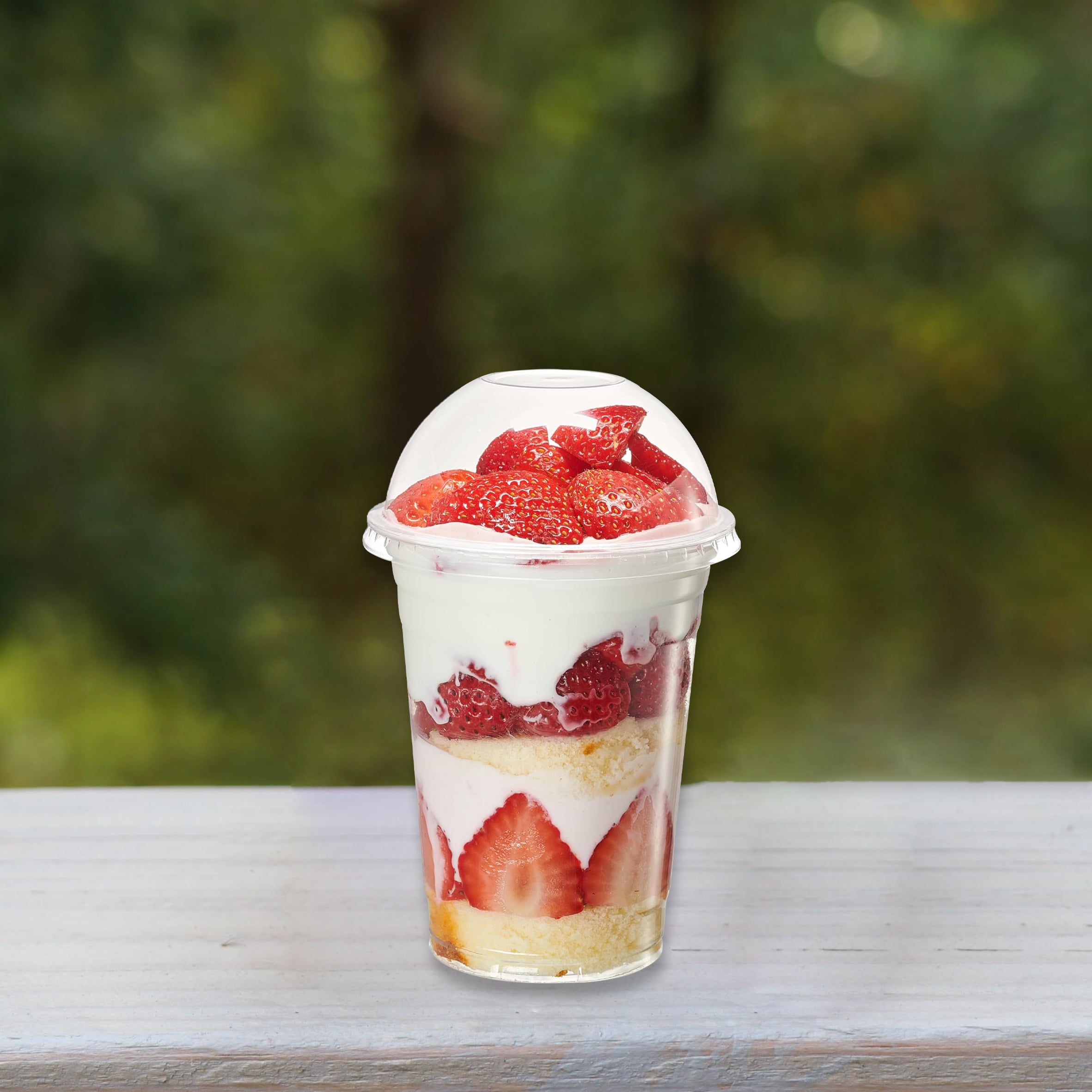 PET Dome Lid for 12-24 oz Cup