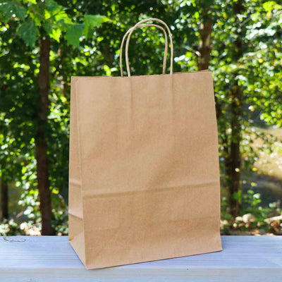 13 x 13 x 7 Paper Handle Shopping Bag