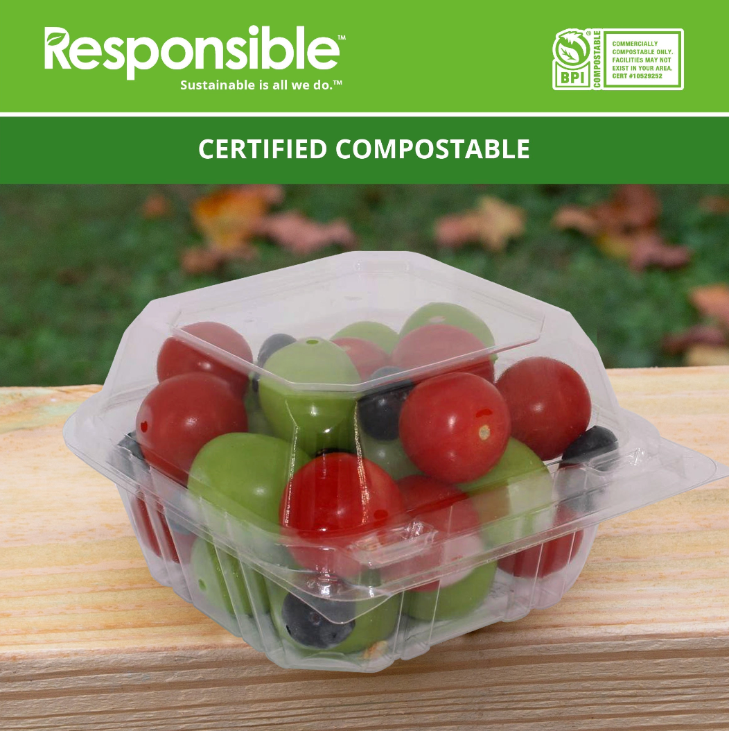 6 x 6 inch Compostable Clear Hinged Container