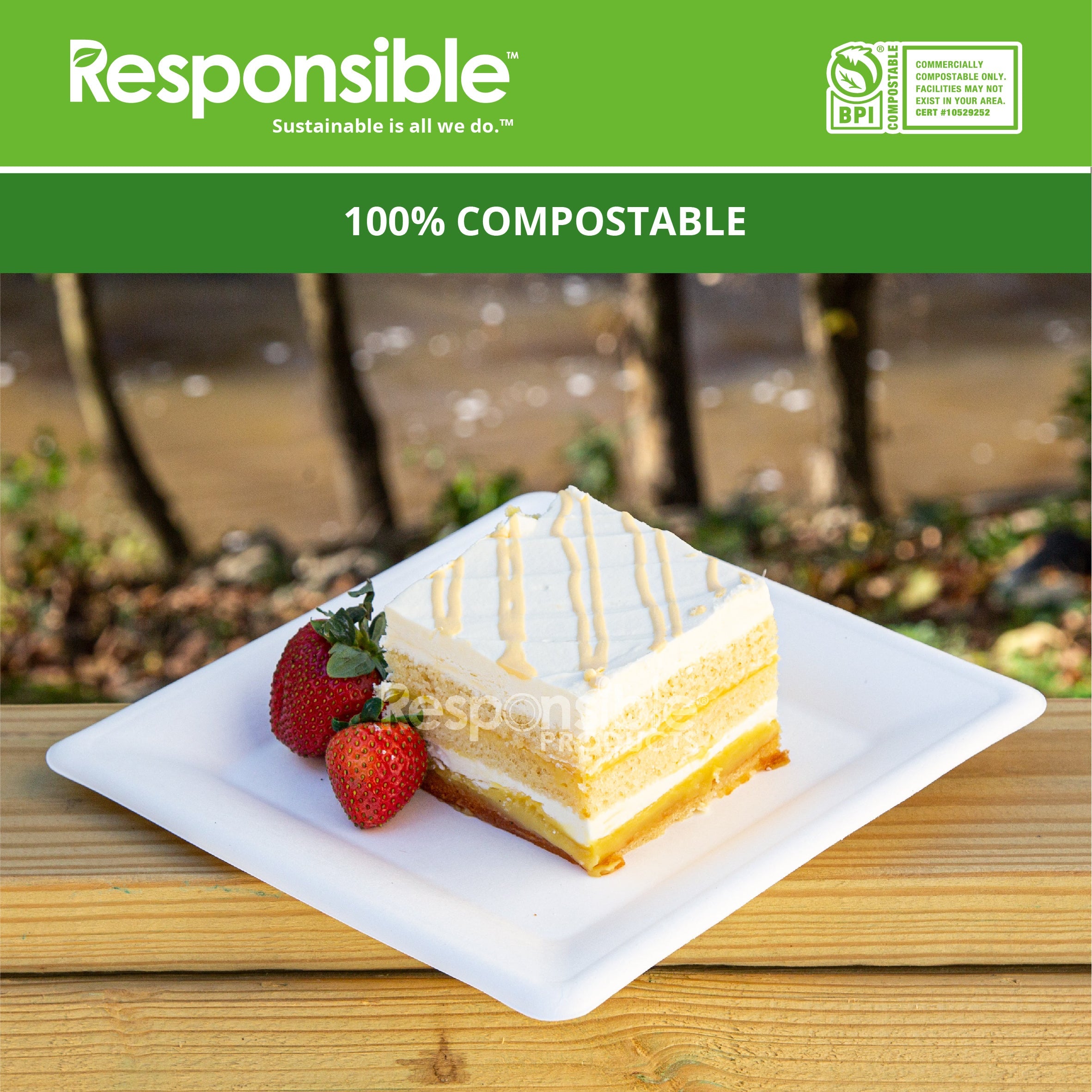 Compostable 10 Inch Square Plates Value Pack