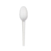 Compostable 6.75 Inch Spoons Retail