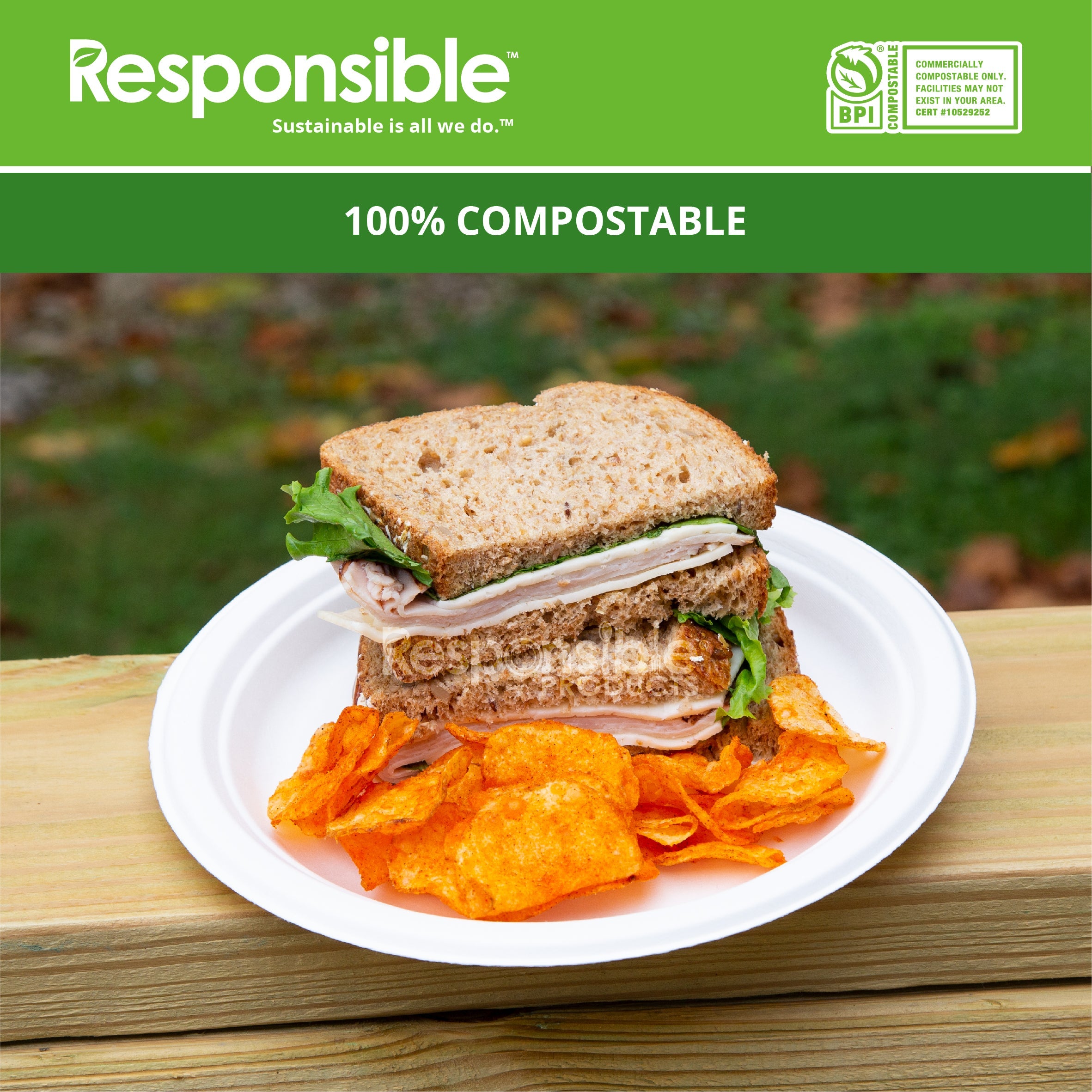 Compostable 8.75 Inch Round Plates Value Pack