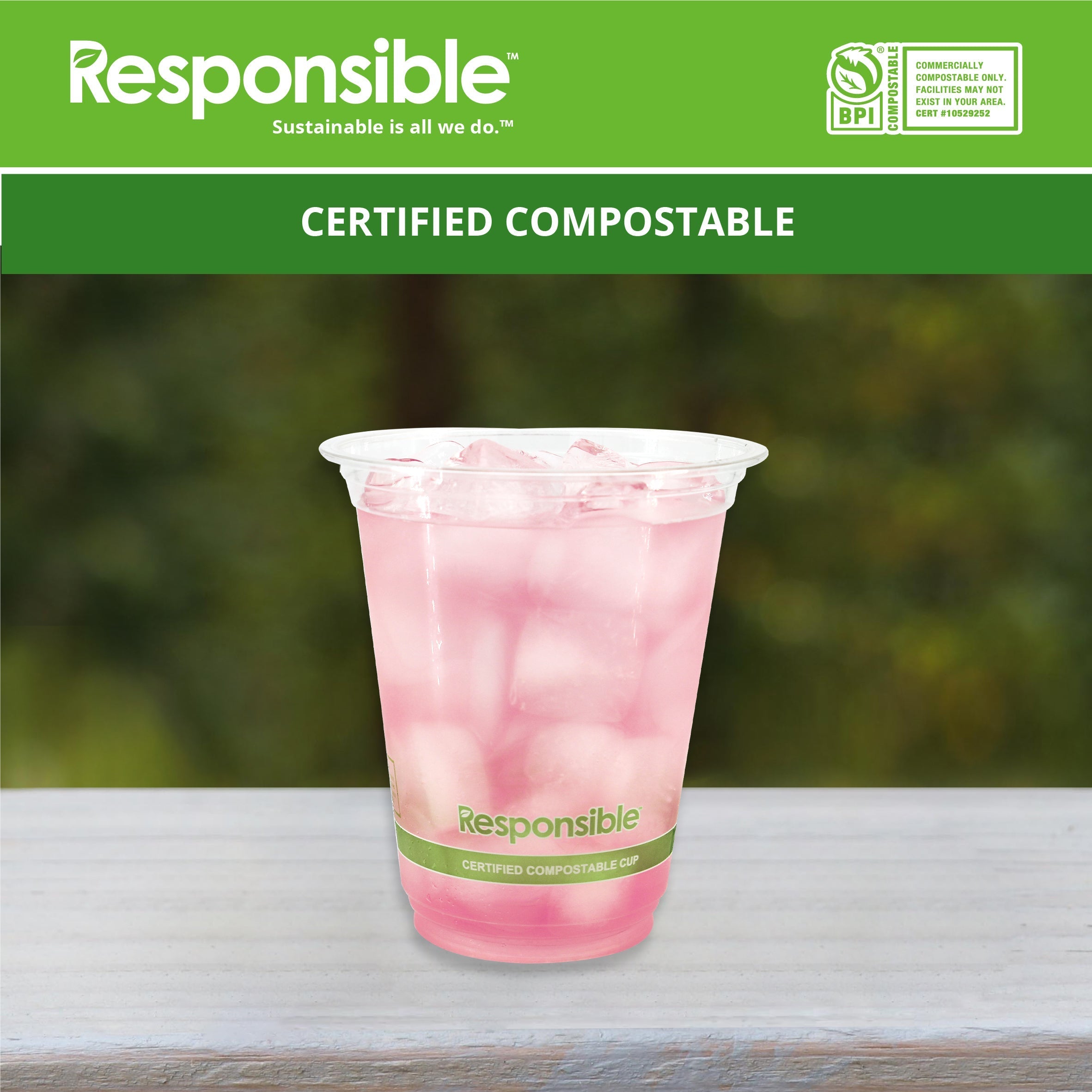 Compostable 12 oz Clear Cold Cups