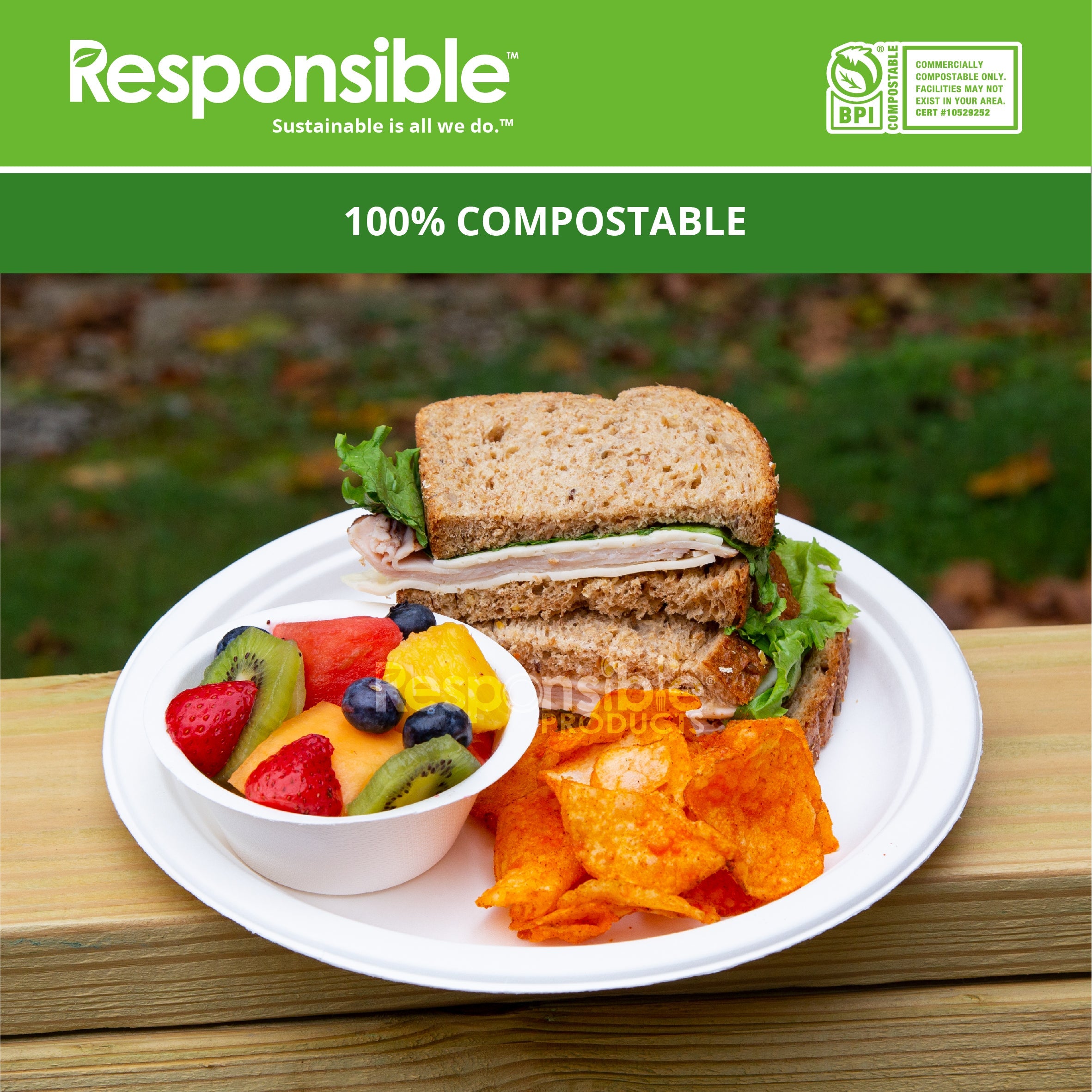 Compostable 10 Inch Round Plates Value Pack