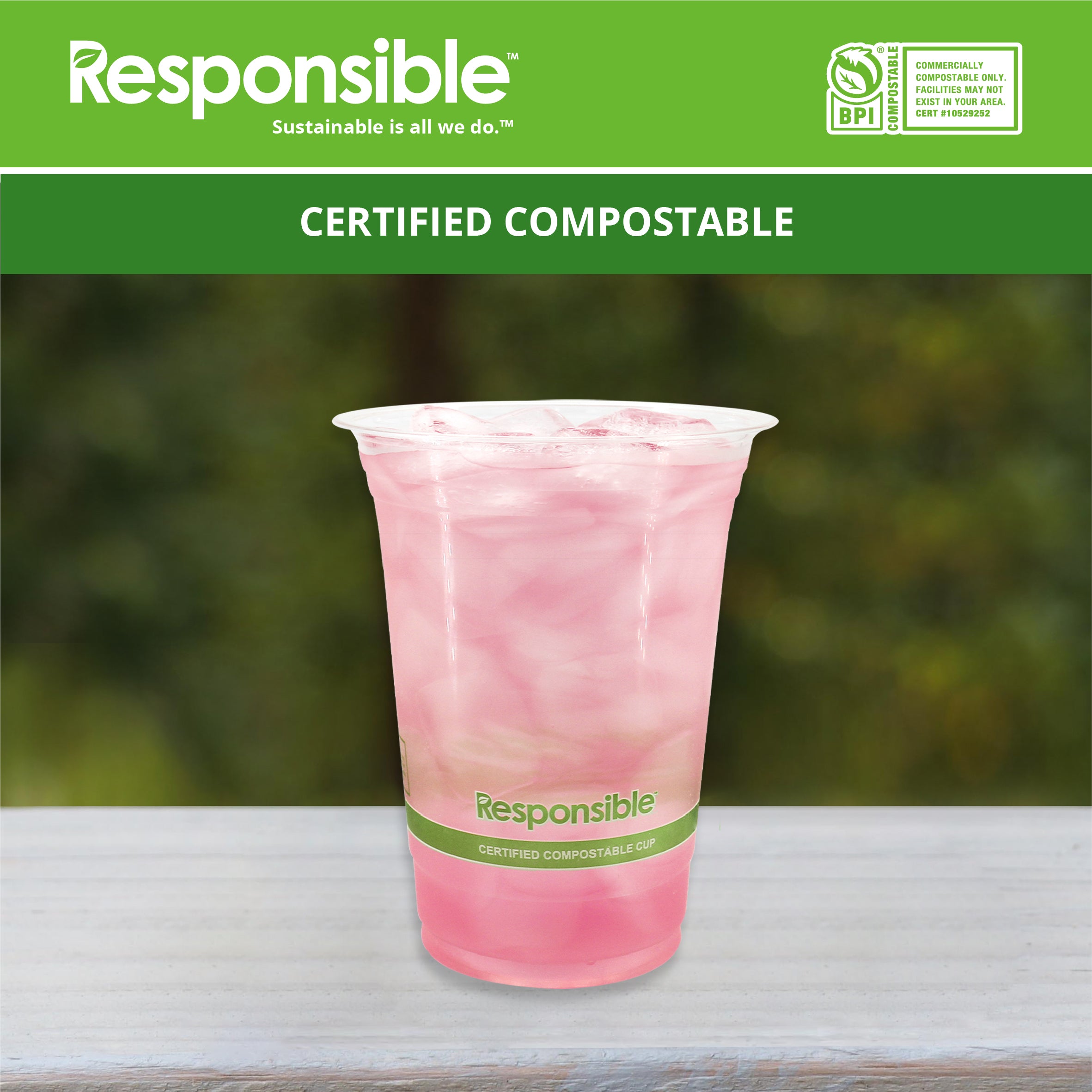 Compostable 16 oz Clear Cold Cups