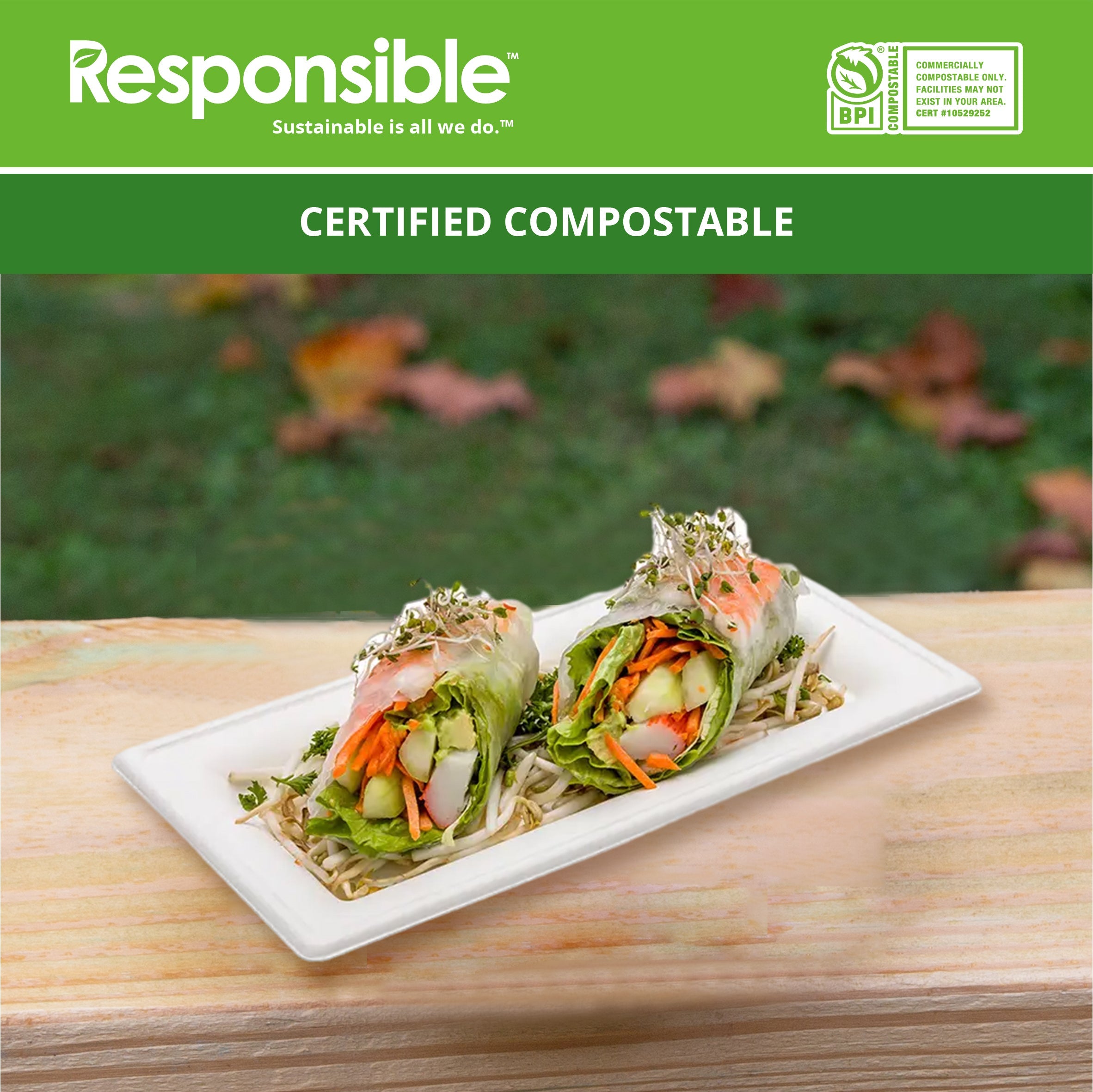 10 x 5 inch Rectangle Plates | Tree-Less™ Compostable Molded Fiber