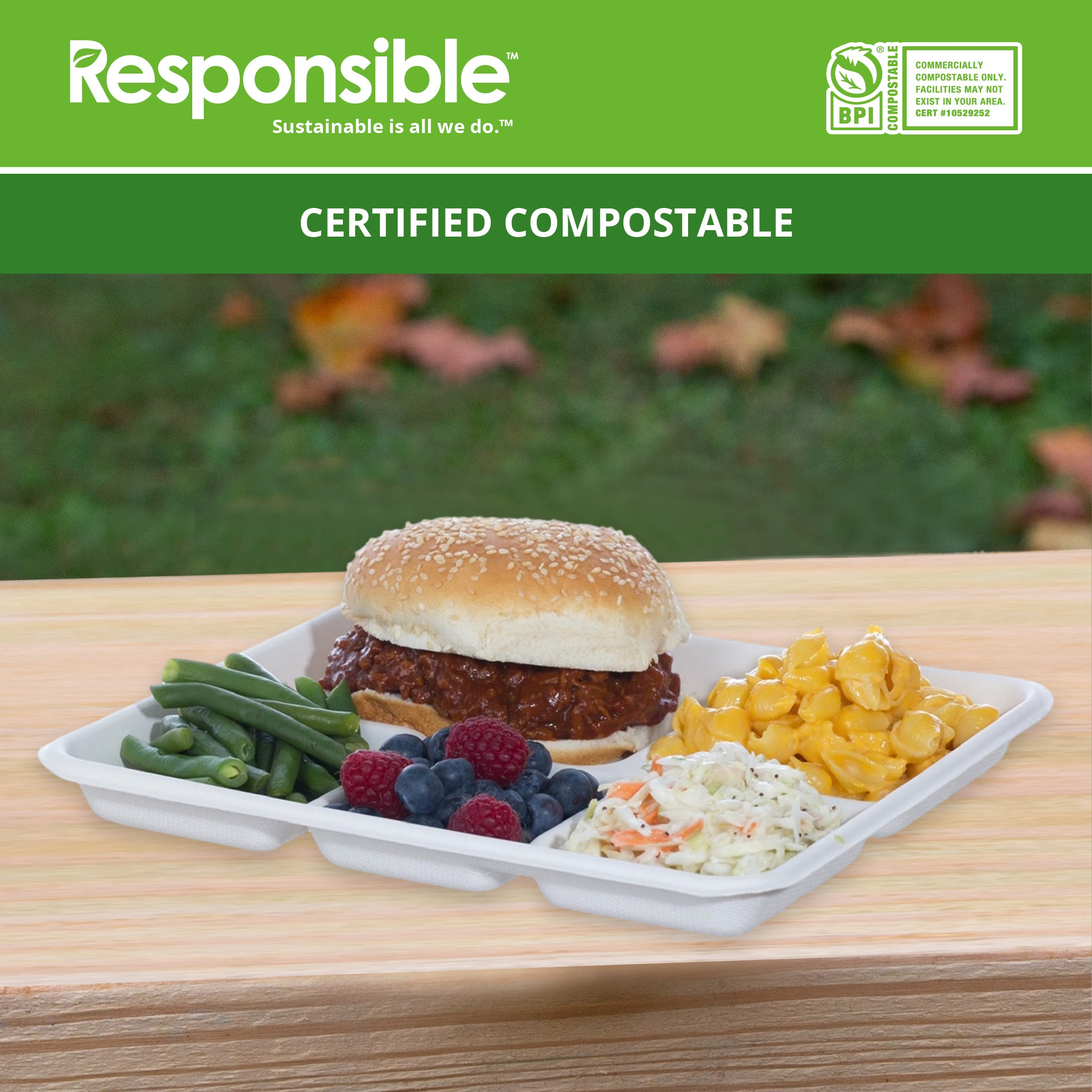 5-Compartment School Trays | Tree-Less™ Compostable Molded Fiber