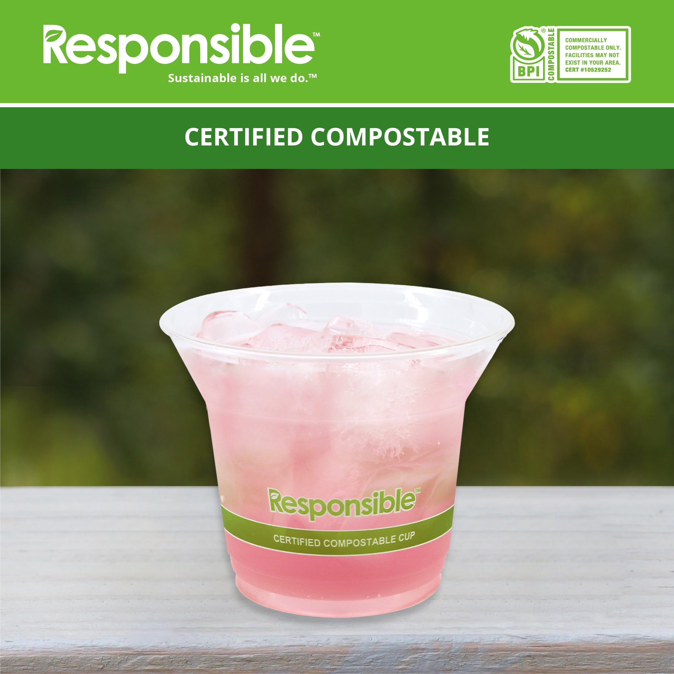 Compostable 9 oz Clear Cold Cups