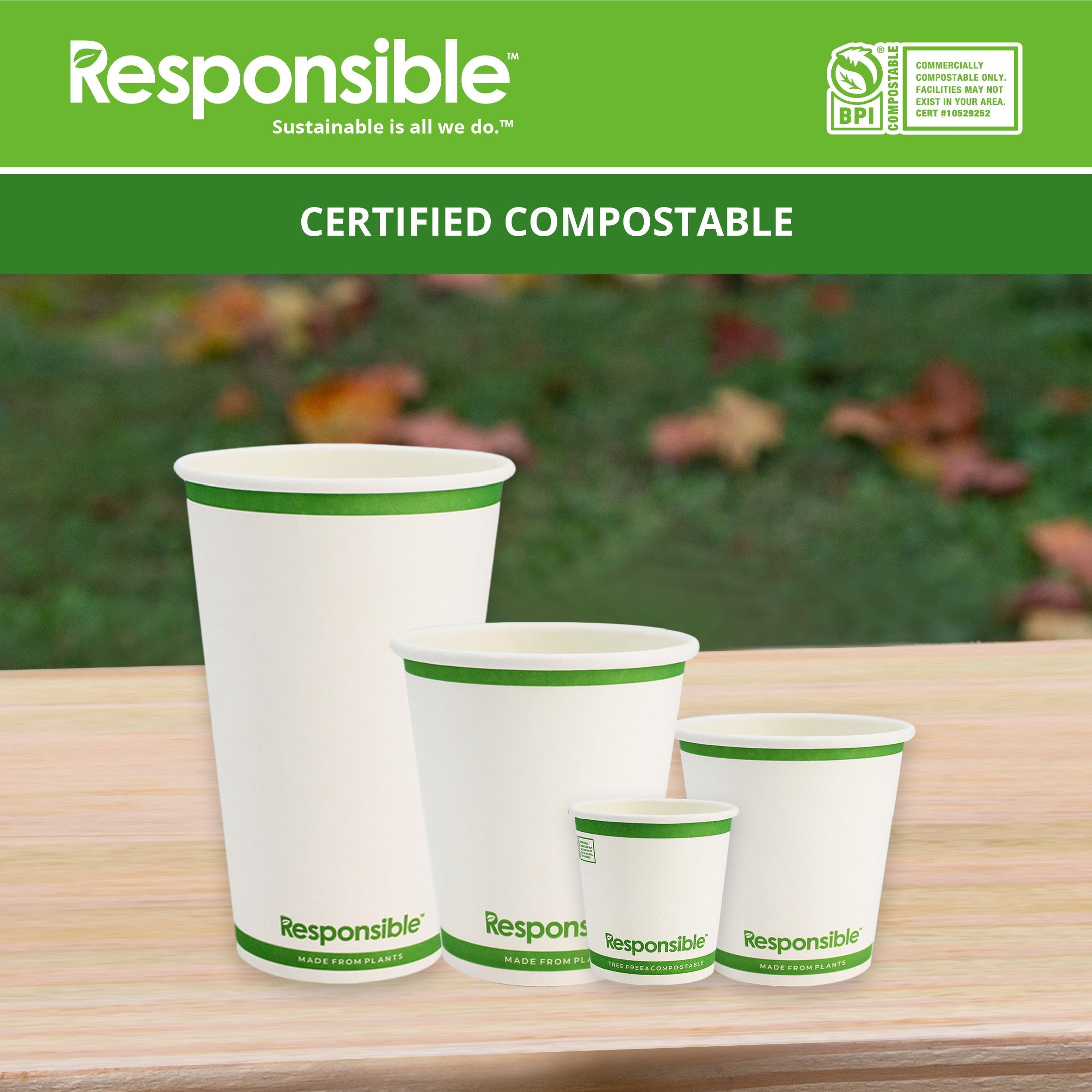 6 oz Hot Cups | Tree-Less™ Compostable Paper