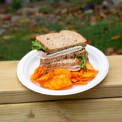 9 inch Tree-Less™ Compostable Plate Molded Fiber Plates