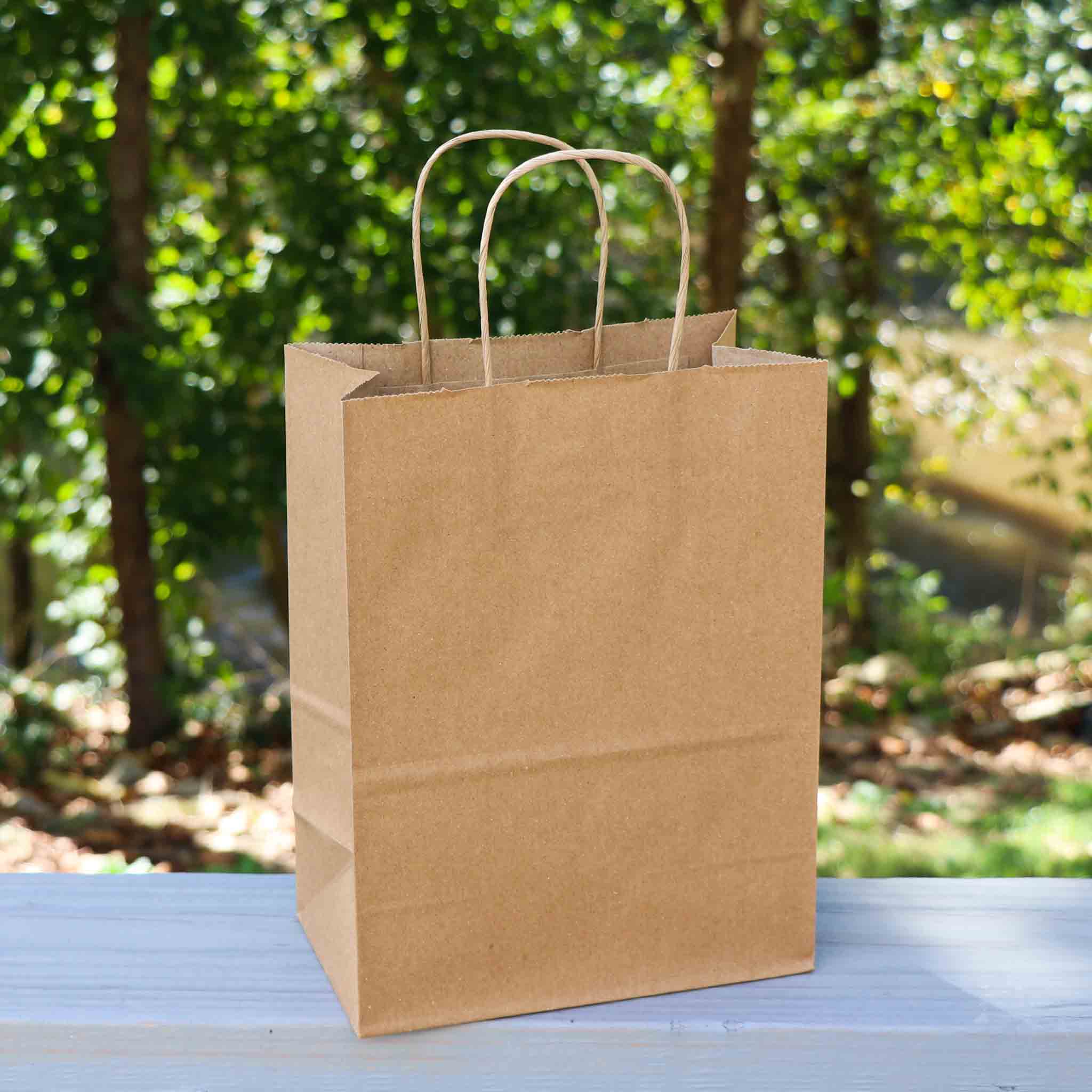 8.1 x 10.6 x 4.5 Inch Paper Handle Shopping Bag