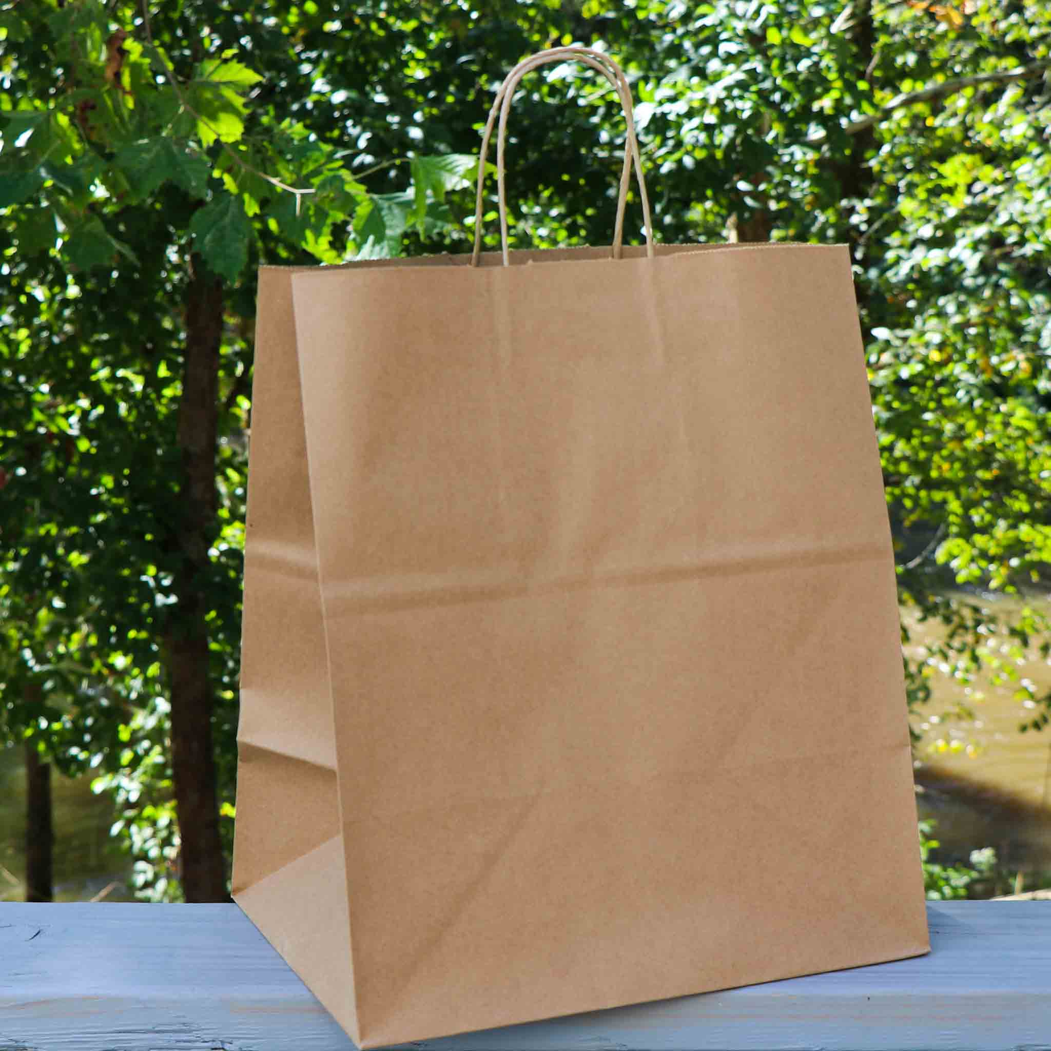 14 x 16.5 x 9.6 inch Paper Handle Shopping Bag