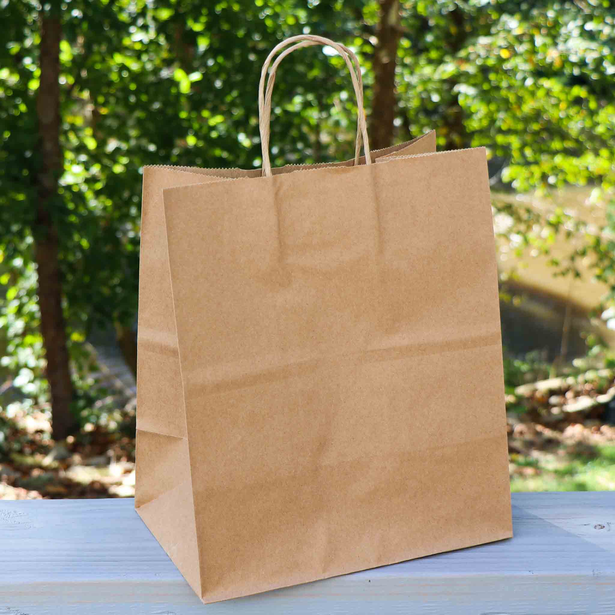 10.2 x 12 x 6.5 inch Paper Handle Shopping Bag