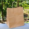 10.2" x 12" x 6.5" Handle Paper Bag (Bistro)