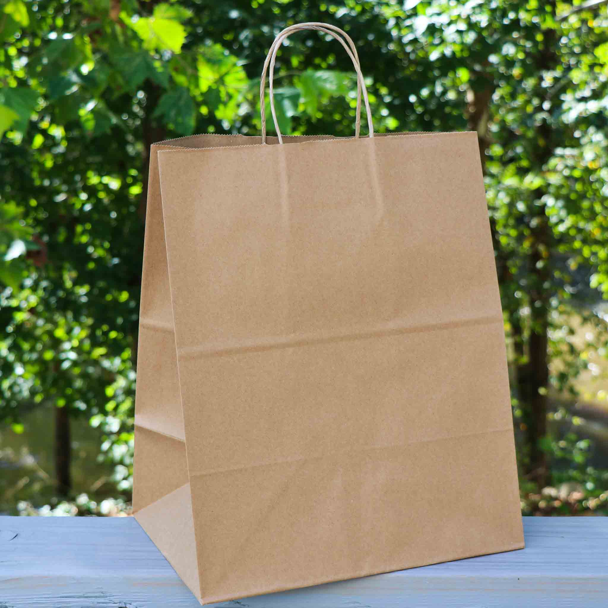 13 x 15.7 x 9.1 inch Paper Handle Shopping Bag