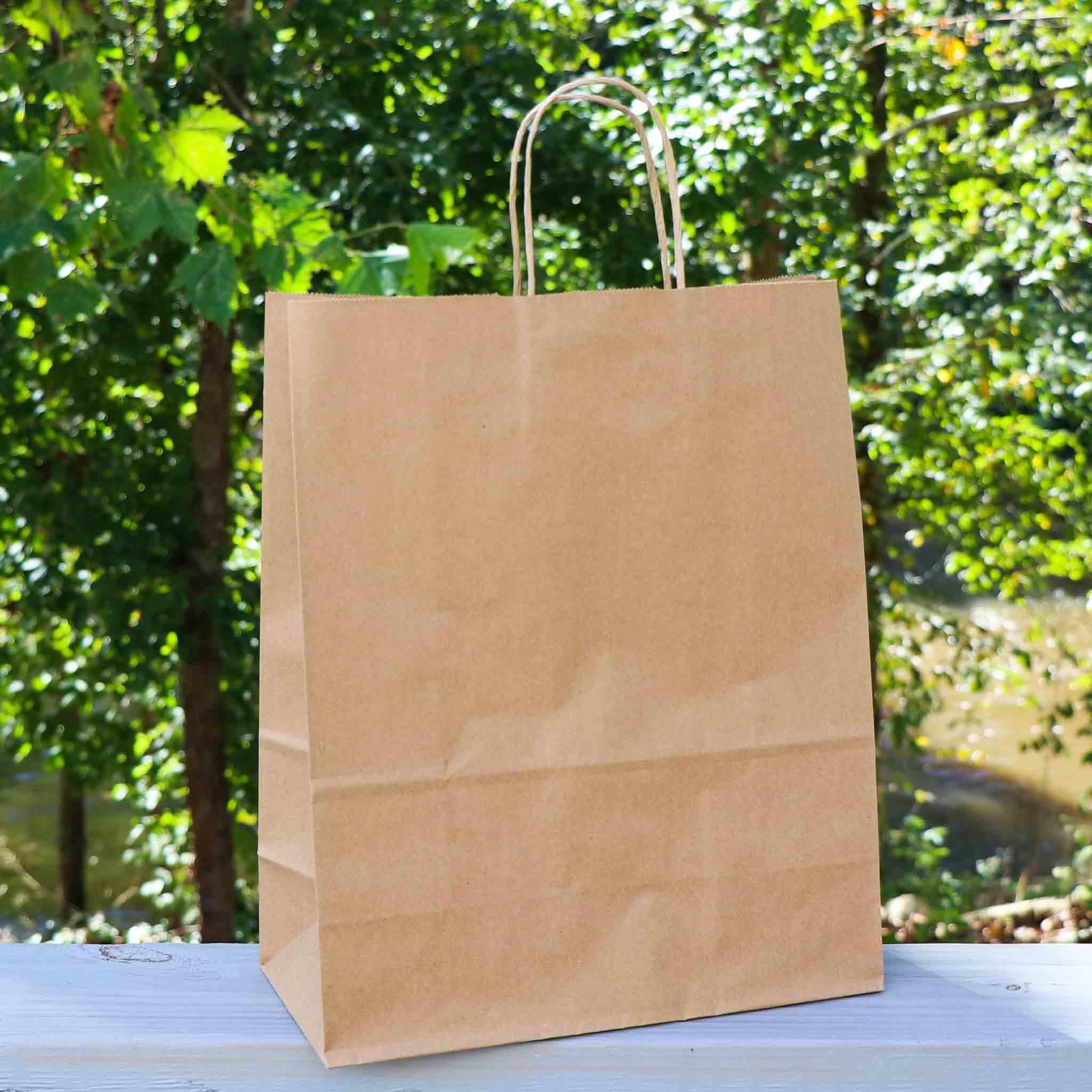 10.2 x 5.1 x 12.8 inch Paper Handle Shopping Bag