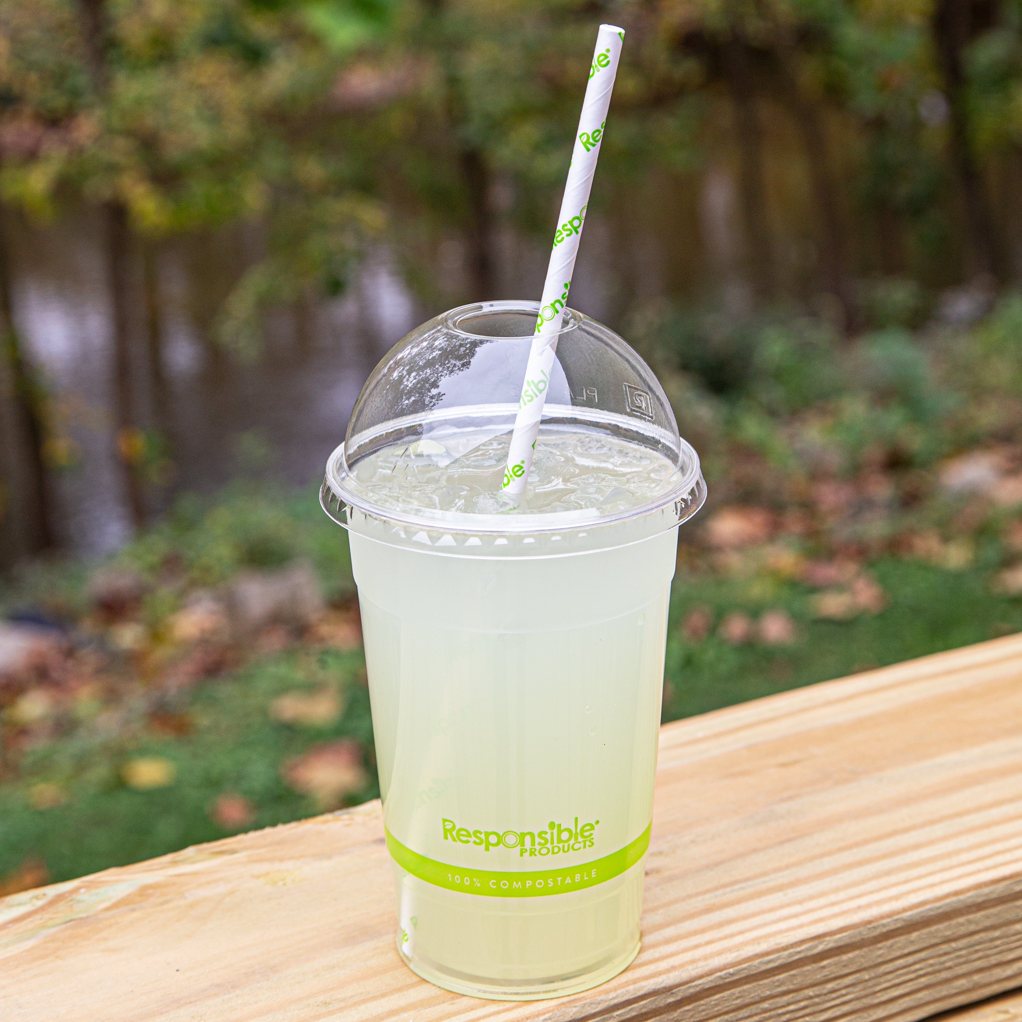 Compostable Dome Lids for 9-24 oz Clear Cold Cups