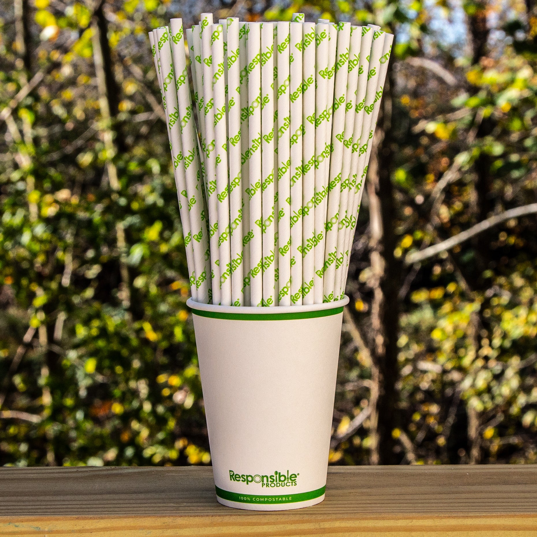 Compostable 10 Inch Paper Straws