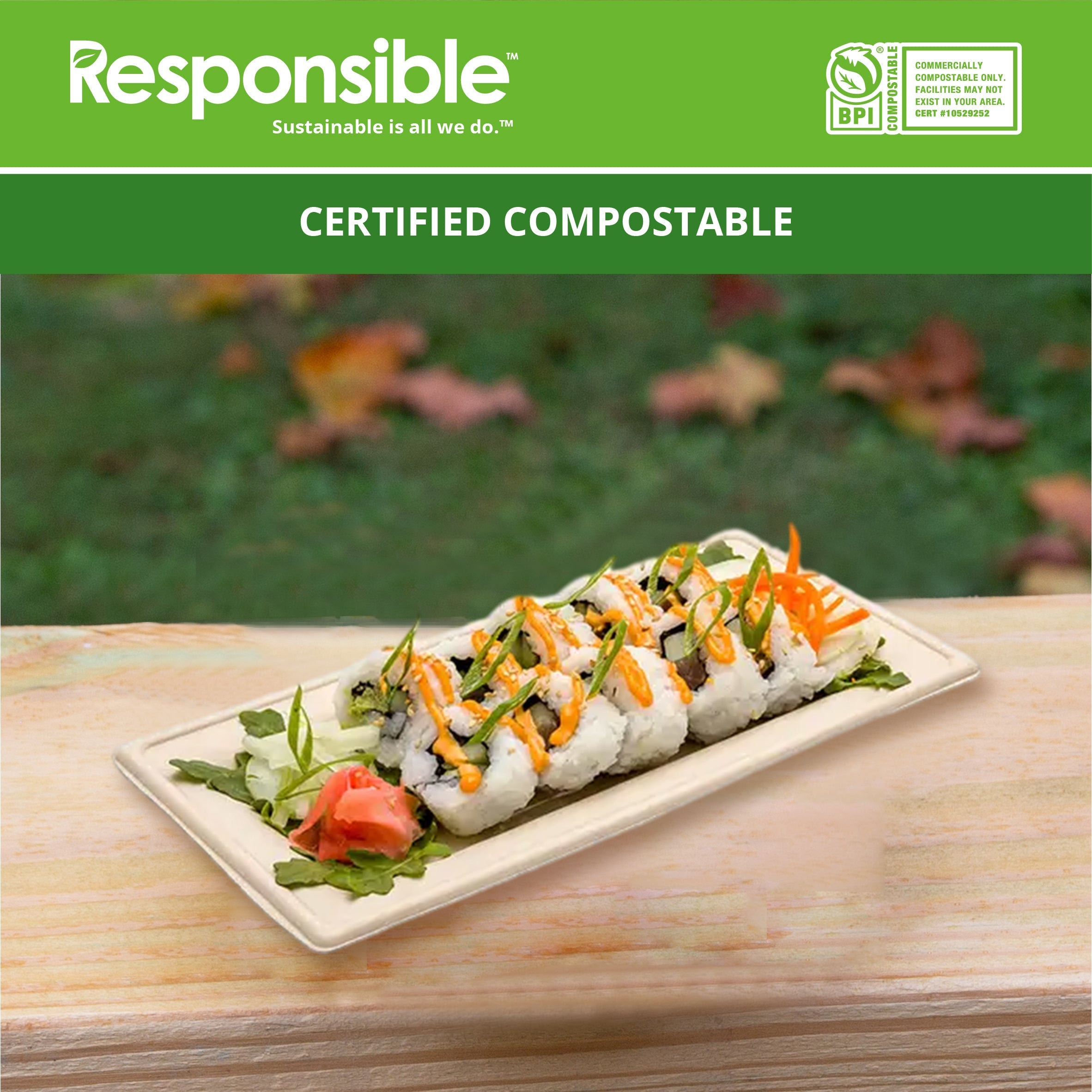 10 x 5 inch Rectangle Plates | Tree-Less™ Compostable Molded Fiber